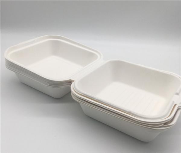 6 Burger Box Food Grade Sugarcane Bagasse Take Away Food Box