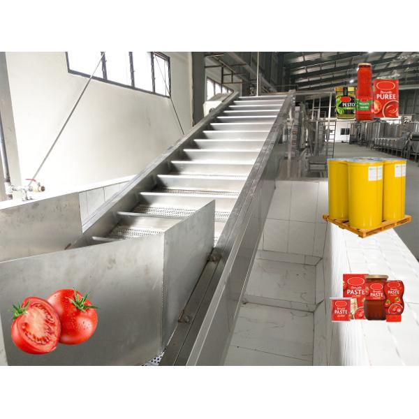 Complete Fruit & Vegetable Processing Line | Washing to Juicing | Turnkey Plant