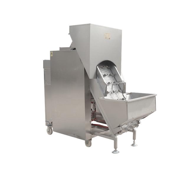 2022 Promotional Mini Onion Peeler Appliances