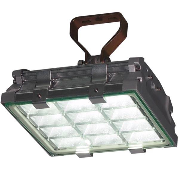 Industrial Anti Corrosion 60W IP66 LED Explosion Proof Light Fixture with Input Voltage
