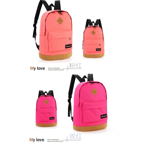 Classic Vintage College School  Backpack Ba Lovely bag for traveling