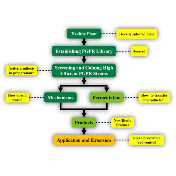 Agricultural Improving Soil Rhizosphere Microecological Balance