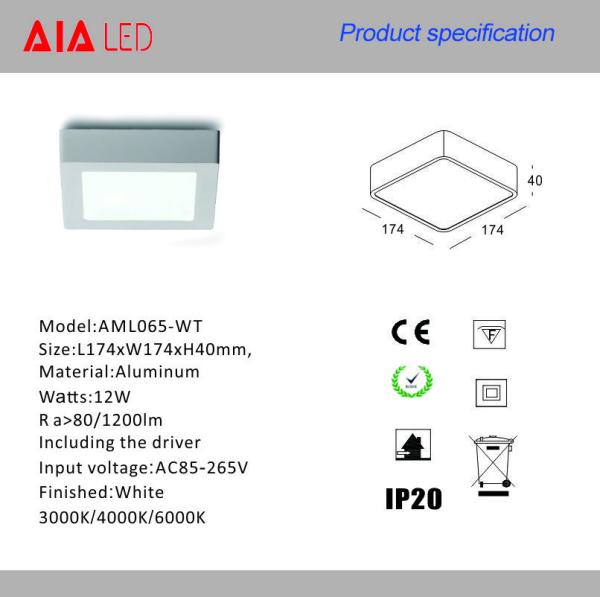 RA80 PF0.96 Surface mounted white 12W LED panel light/led downlight