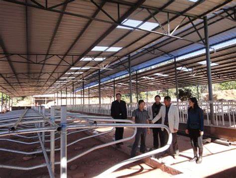 Специализированное оборудование для кормления птицы и скота из фермы из нержавеющей стали