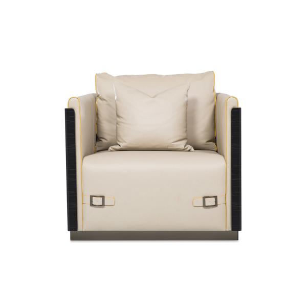 Joyful ever furniture factory Light luxury design sofa in Glossy painting frame and Italy leather upholstered