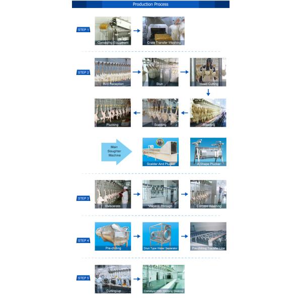Stainless Steel Slaughterhouse Equipment Automatic Chicken Production Line