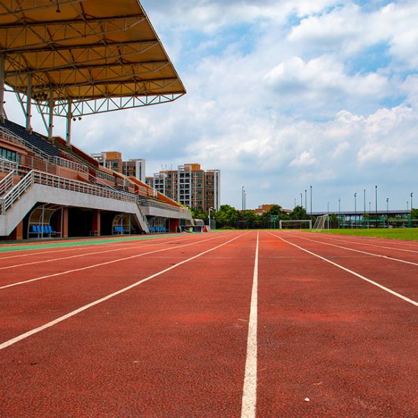 Non Toxic 13mm Thick Eco Sports Flooring Synthetic Athletic Track