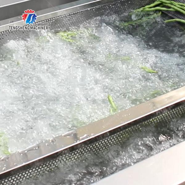 Bubble Vegetable Washing Machine Fruit Orange Vegetable Leaves Vegetables Herbs production Destoning Wash Washer Washing Cleaning