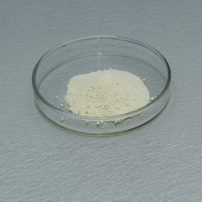 Light Yellow Powder Tannase Enzyme For Fruit And Tea Processing