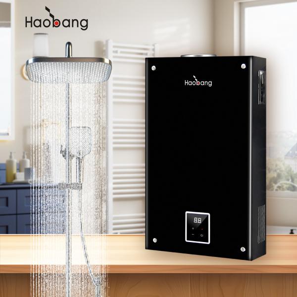 Household Flue Gas Water Heater with Metal Panel and Water Pressure Start 0.02Mpa-0.8Mpa for Energy-Saving Performance