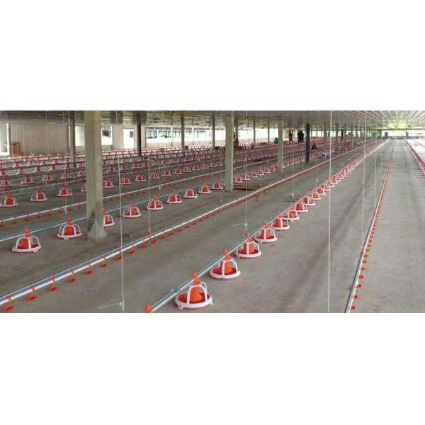 Система автоматизированная реактор-размножителом птицы бройлера питаться