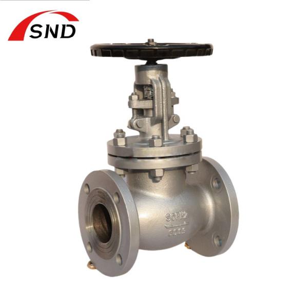 Cast Iron Corrosion Resistant Globe Valve For Chemical Industry