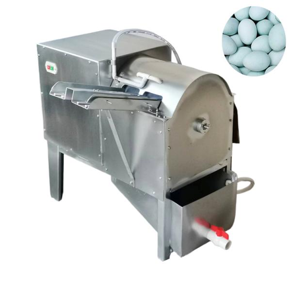 Steel Type Chicken Cleaner Washing Machine Duck Egg Brush Washer