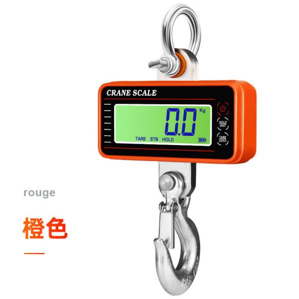 Balance de pesage suspendue de précision en acier inoxydable et alliage d'aluminium bleu 100kg 300kg 500kg 1000kg 1t avec approbation OIML