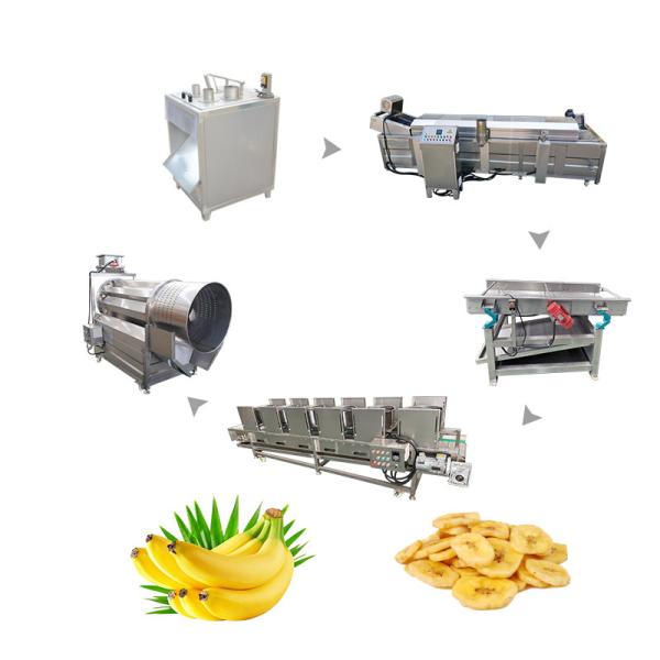 Máquina e linha de produção de batatas fritas de banana de 800 kg para produção de batatas fritas em larga escala