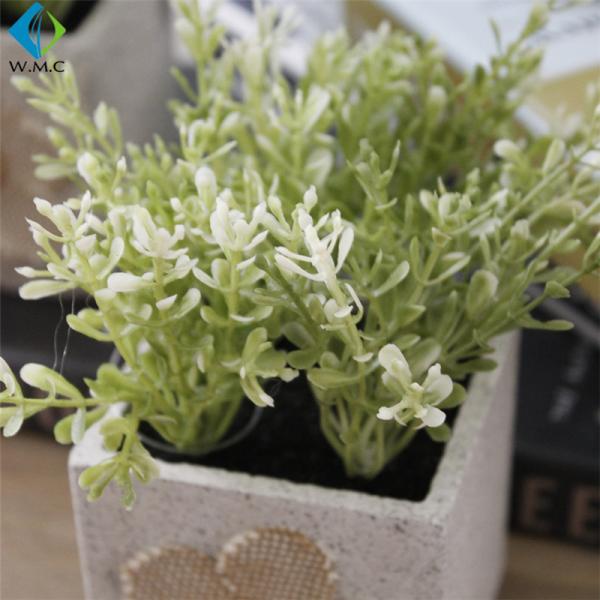 Cute Fake Green Plants , Small Green Potted Plants For Home Decoration