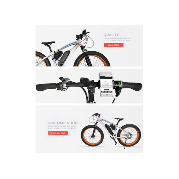 Fat Tyre 2 Wheel Electric Bike 48V Mountain Bike Electric Snowmobile Alloy Frame