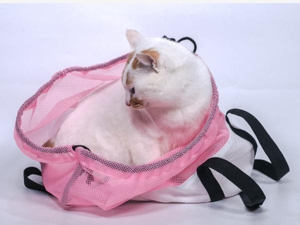  				Hot Summer Mesh Breathe Kitty Handbags Nylon Cat Outdoor Carrier 	        