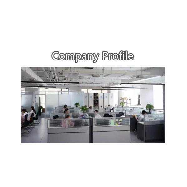 Modern Style Polyester Fiber Floor Carpet for Elegant and Comfortable Living Room