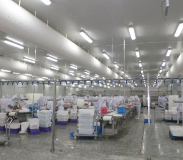 Beef / Meat Conveyor Systems , Food Processing Industrial Conveyor Systems