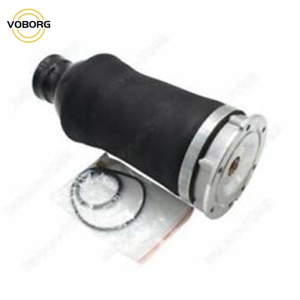 Hot Sell Rear Air Suspension Shock Absorber Reart Left and Right Shock Absorbers for Audi Auto Parts
