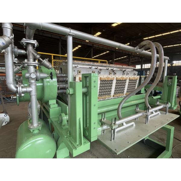New WANYOU Automatic Recycled Paper Egg Tray Machine Pulp Molding Machine PLC Control Touch Screen Panel 2500-3000pcs/h 