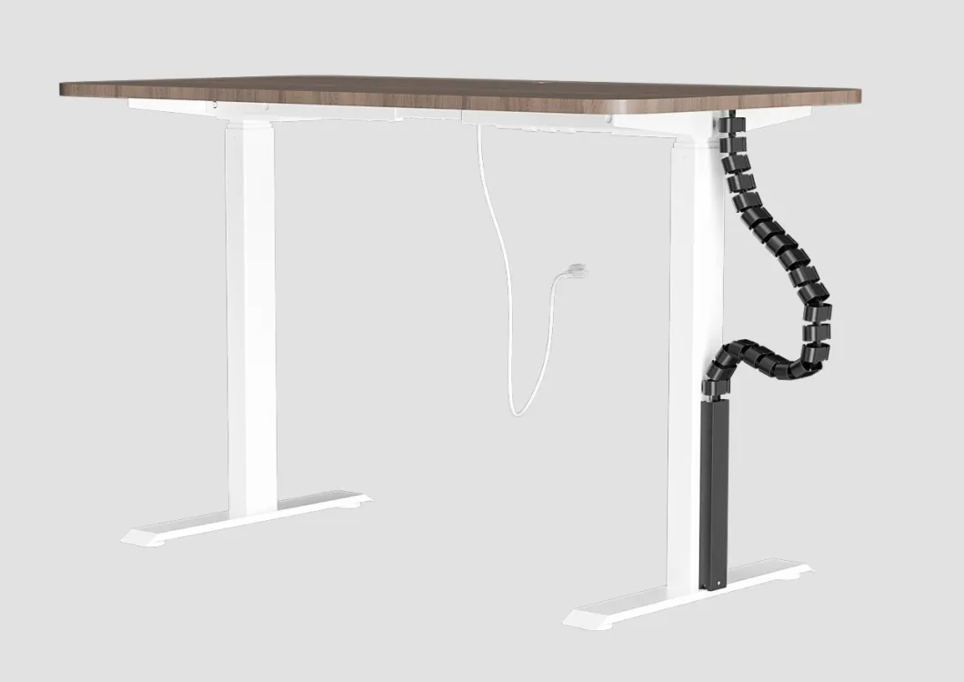 Modular Vertebrae Standing Desk Cable Spine Guide Customized