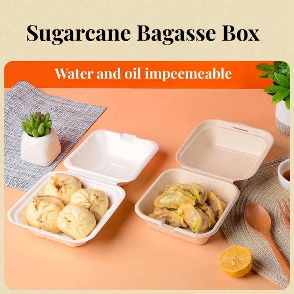 Sugarcane Bagasse Burger Box Food Container Shipping Cost and Estimated Delivery Time