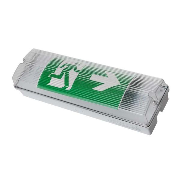 Waterproof Emergency Light IP65 with 15 SMD LEDs 3H Duration