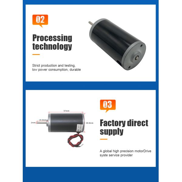 FT-31ZY Carbon Brushed Micro Motor 6V 12V 24V DC Micro Motor For Smart Homes