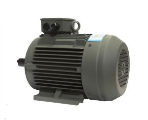 YE3 1.5kw 2hp 2p 3 normes asynchrones d'efficacité de moteur à induction de