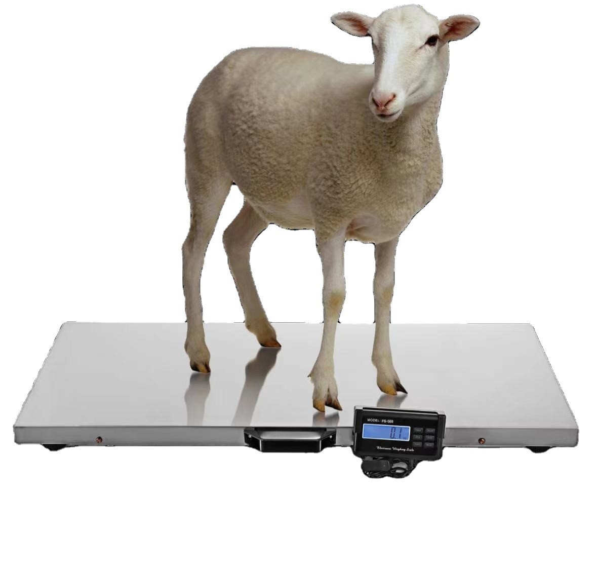 Carbon Steel Customizable Animal Weighing Scale 500kg Max Capacity 1100LBS 0.1kg Accuracy for Cattle Weight Measurement