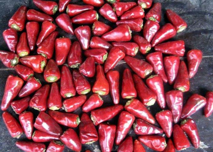 Не облученные слабые высушенные красные Chilies произошли стручки Chili вычеркивают добавку