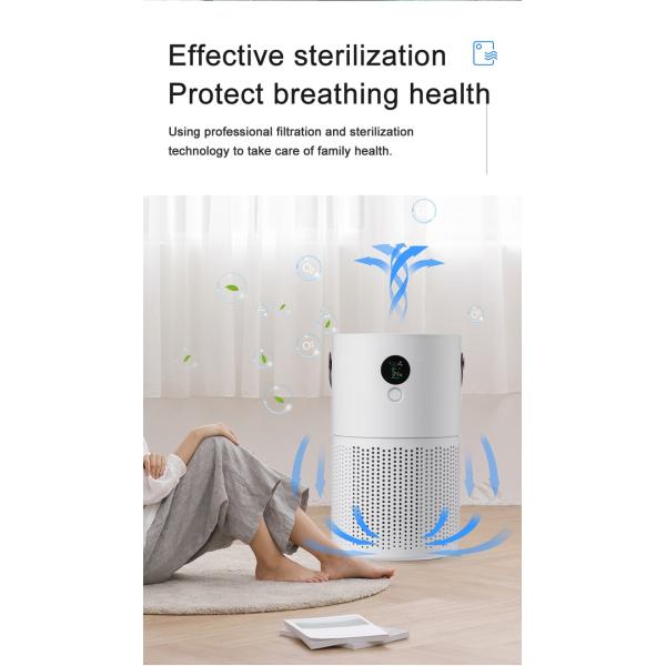 HOMEFISH Дым Pm2.5 Отрицательные ионы Столовой очиститель