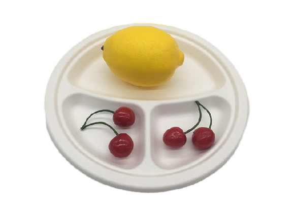 Cut Resistant 9 3 Compartment Sugarcane Fibre Plates