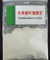 Eucommia Ulmoides Leaf Extract Aucubin 98% powder