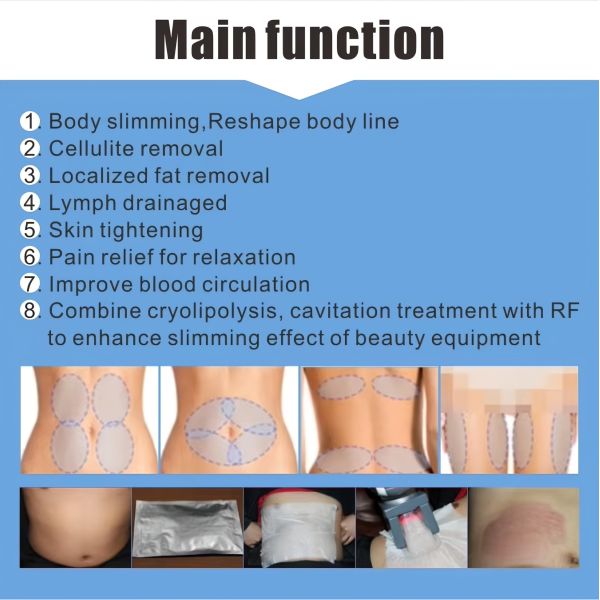 Tabletop Fat Freezing Cryolipolysis Machine 600W For Beauty Salon / Aesthetic Studio