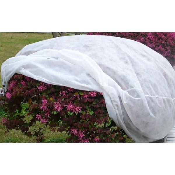 производственная линия Pp Spunbond машины ткани 3200mm Spunbond Nonwoven Nonwoven