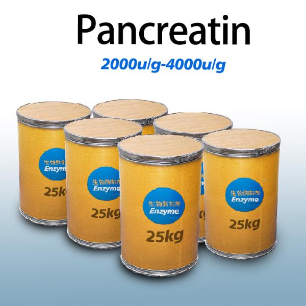 Poudre blanche grise comme protéase pancréatine 4000u/G Préparation enzymatique