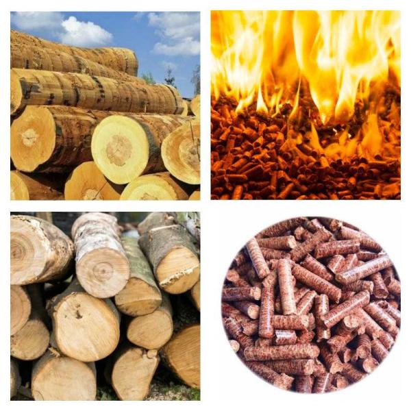 кольцо производственной линии 800-1000kg/H лепешки биомассы 55kw умирает производственная линия лепешки