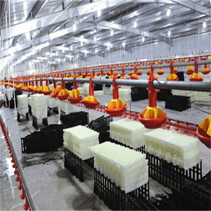 Modern Prefabricated Steel Structure Layer Chicken House with Automatic System