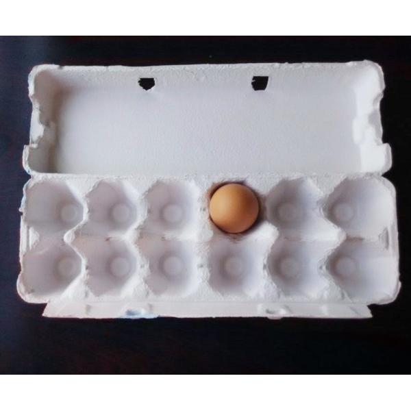 Semi Automatic Small  Paper Pulp Molding Egg Tray Machine