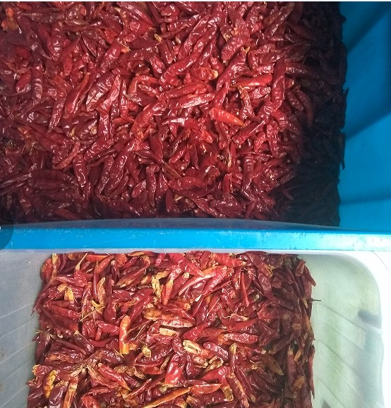 Automatic Chili Color Sorting Machine Chili Peppers Color Sorter Machine