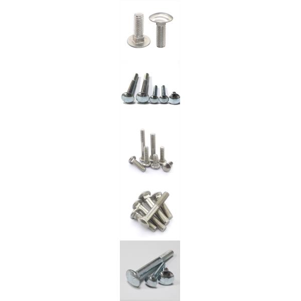 Grade 5 Stainless Steel  3 / 8 Round Head Carriage Bolt