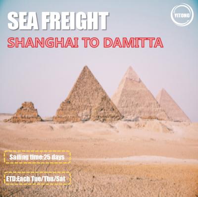 3 Shifts / Week Global Sea Freight Logistics Shanghai To Damitta Egypt Direct Sailing