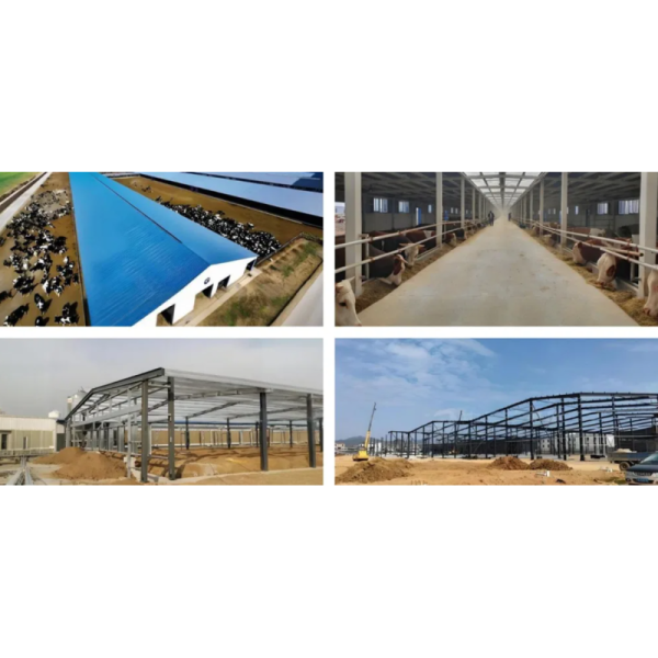 Cost-Effective Steel Truss Structure Factory Hall with Earthquake Resistance and Easy Installation