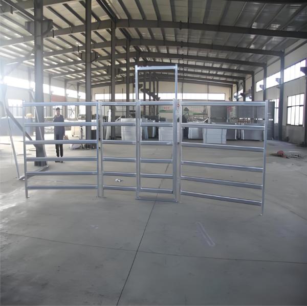 6Rails Heavy Duty Galvanized Livestock Cattle Panel Corral Panels