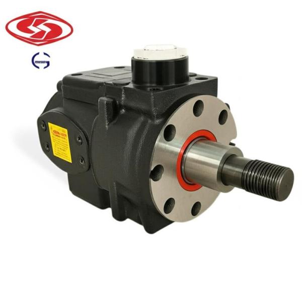 Pompe à engrenages hydraulique HD PSVD2-27 19.2CC pour excavatrices