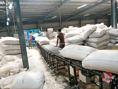 Flexible Motorized Stainless Steel Roller Conveyor,Flexible Roller Conveyor