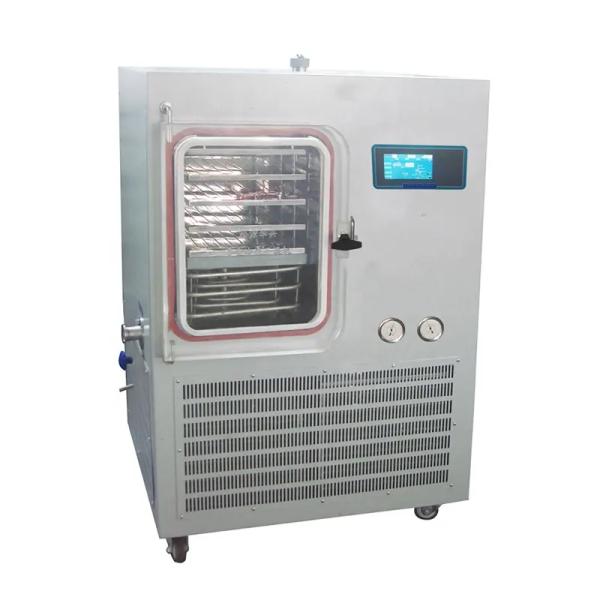 Small Household Freeze Pharmaceutical Dryers AC380V For Food Mini Vacuum Lyophilizer